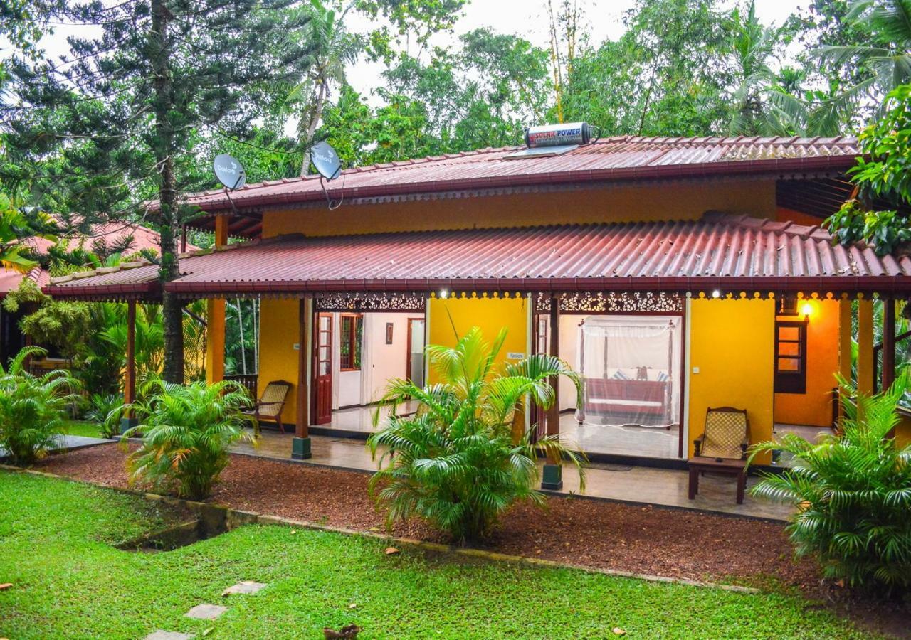 Araliya Gardens Hotel Hikkaduwa Kültér fotó